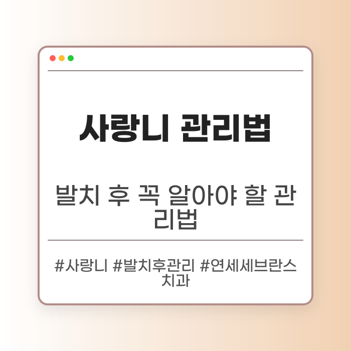 제기동사랑니 발치 후 관리법