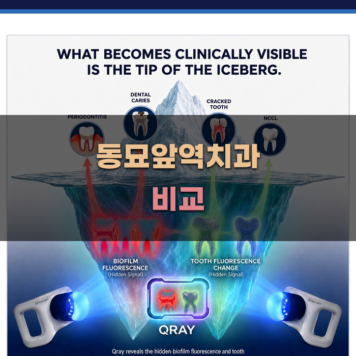 동묘앞역치과 비교 분석